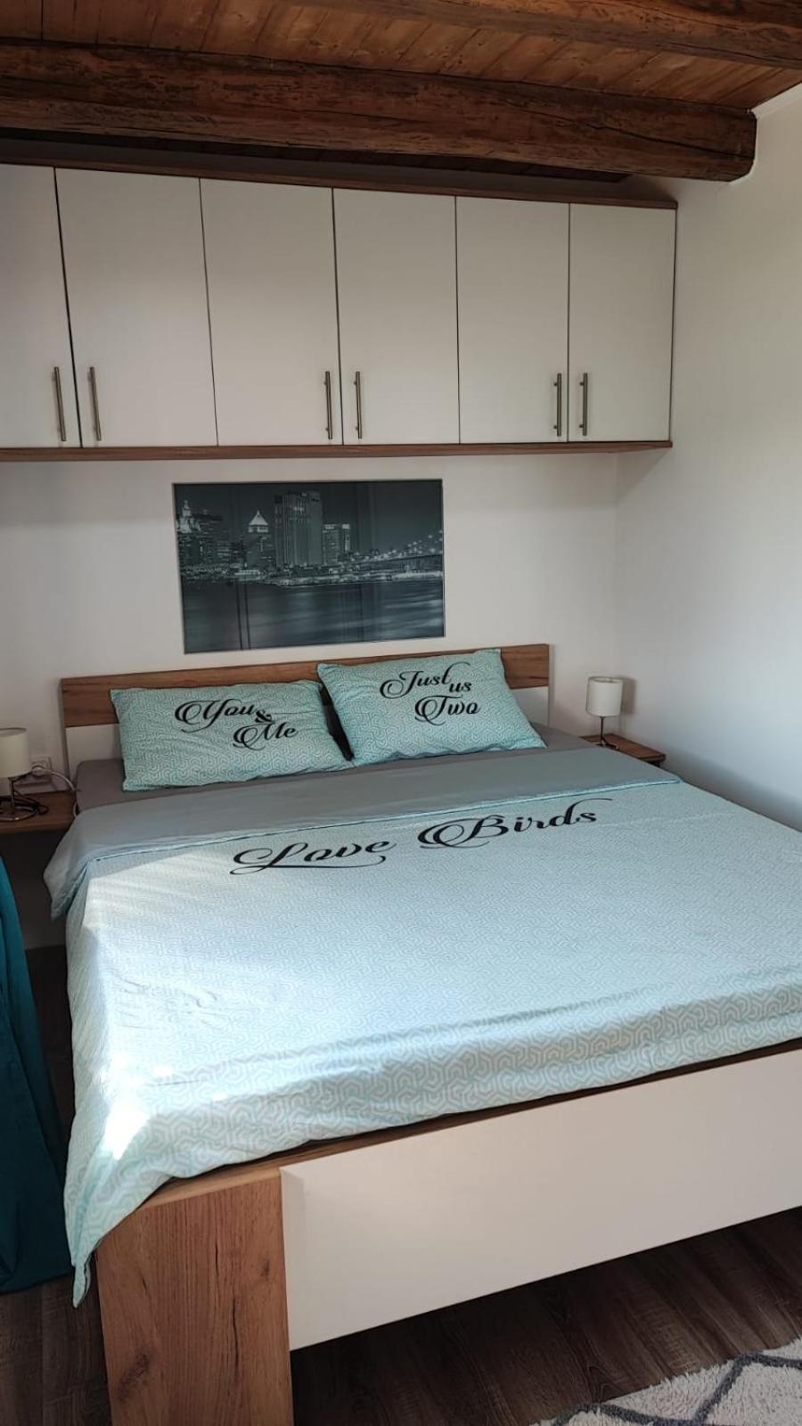 Kuca Za Odmor Jopi I Mare Villa Topusko Екстериор снимка
