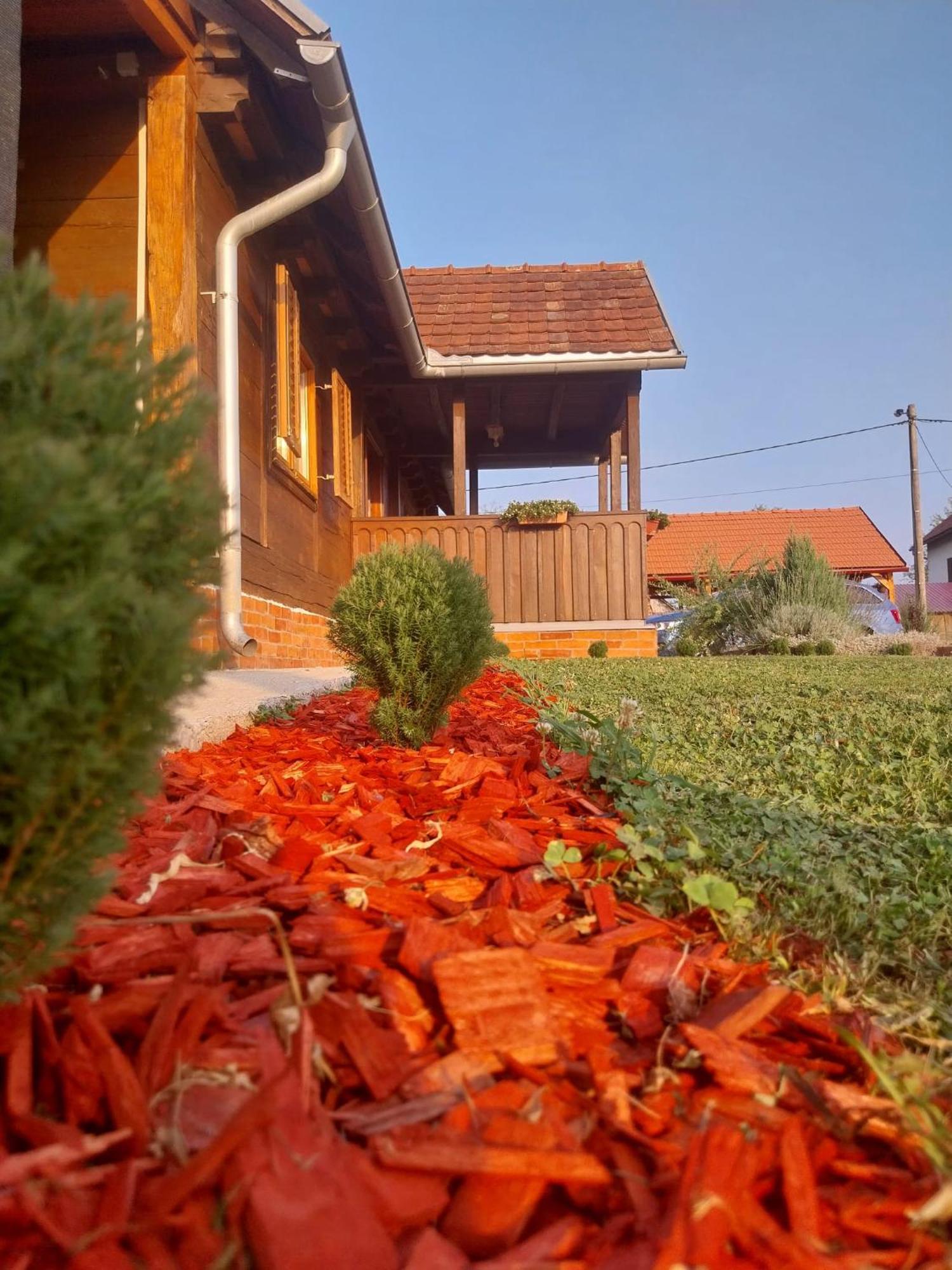 Kuca Za Odmor Jopi I Mare Villa Topusko Екстериор снимка