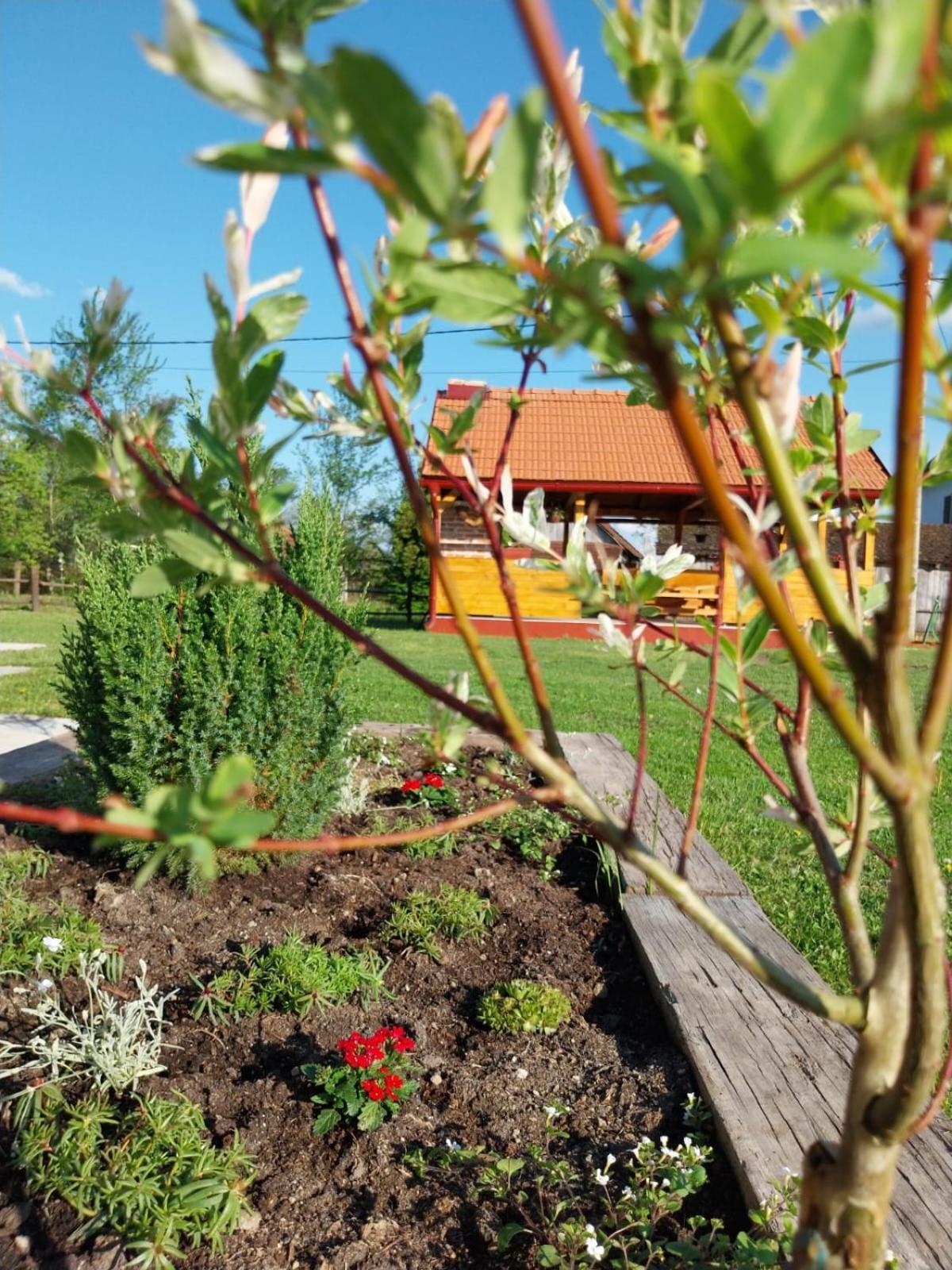 Kuca Za Odmor Jopi I Mare Villa Topusko Екстериор снимка